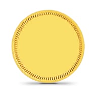 8gm, 24Kt Plain Gold Coin