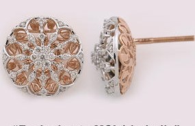 Jewellery_Earring Jewellery_Earring