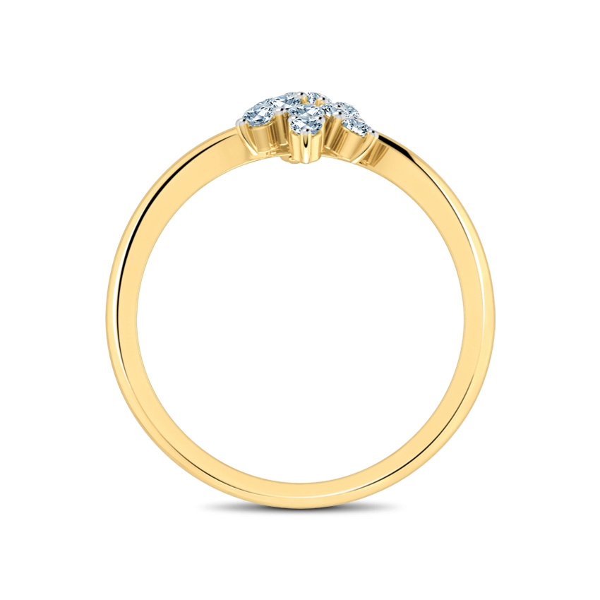 Nakshatra Ring Nakshatra Ring