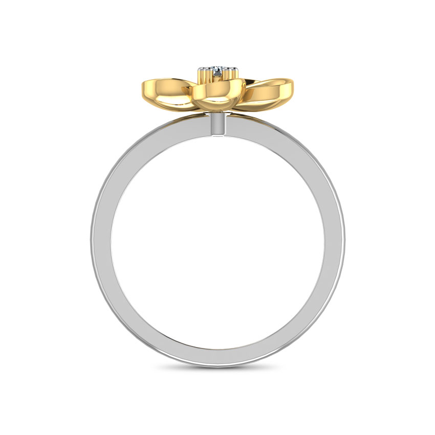 Medieval Charm Ring Medieval Charm Ring
