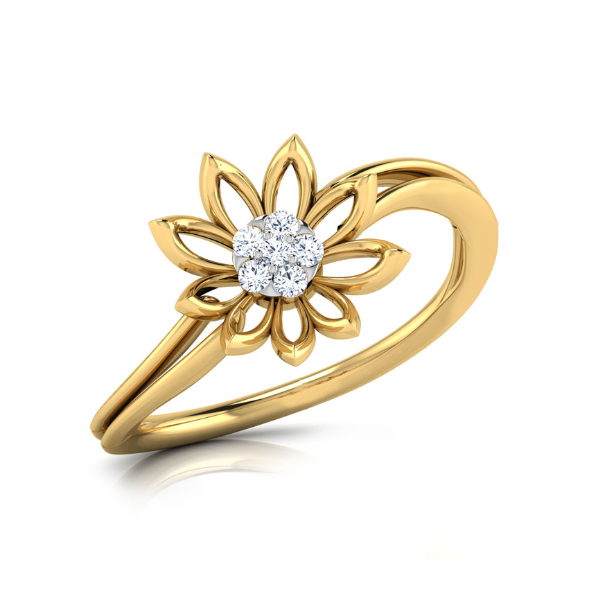 Bloom Cluster Ring