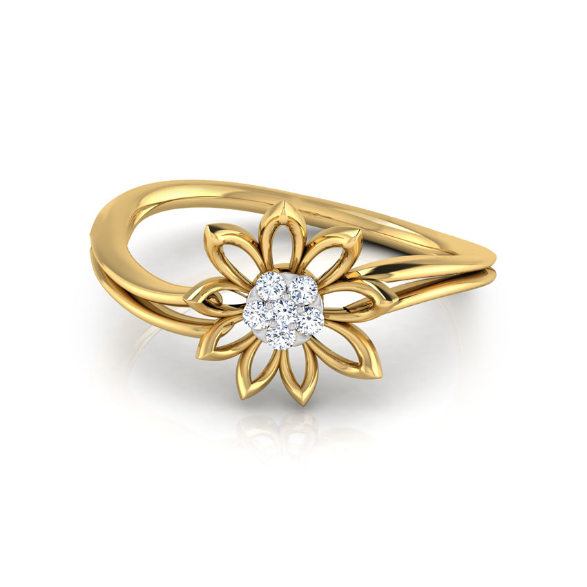 Bloom Cluster Ring