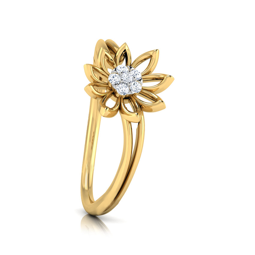 Bloom Cluster Ring