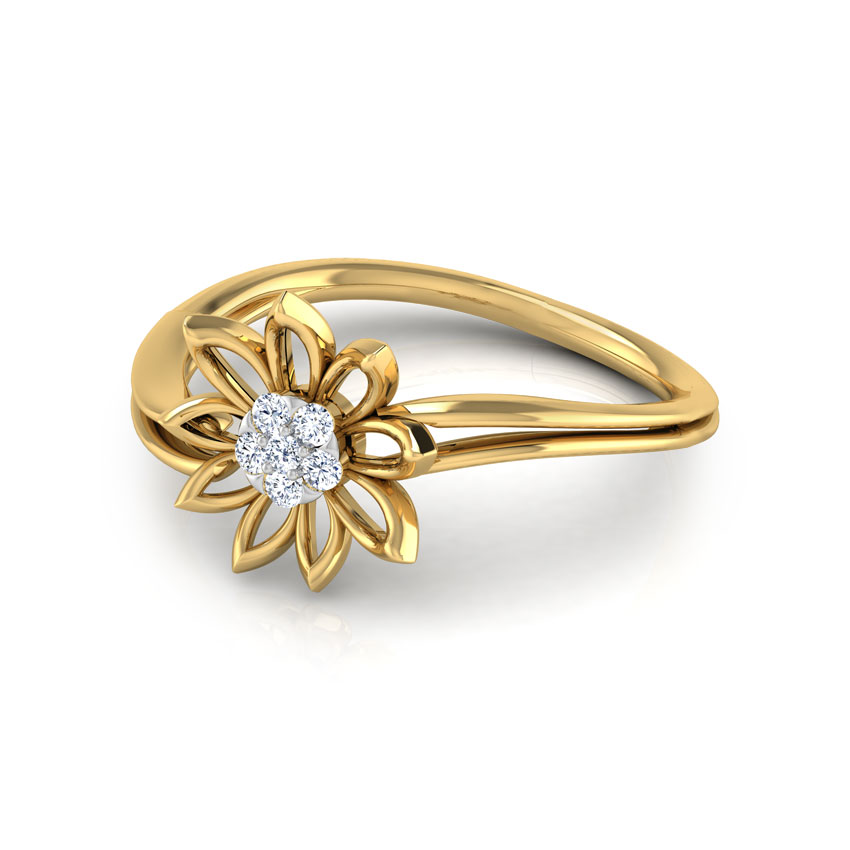 Bloom Cluster Ring