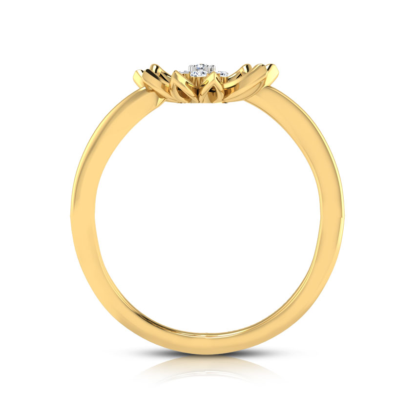 Bloom Cluster Ring
