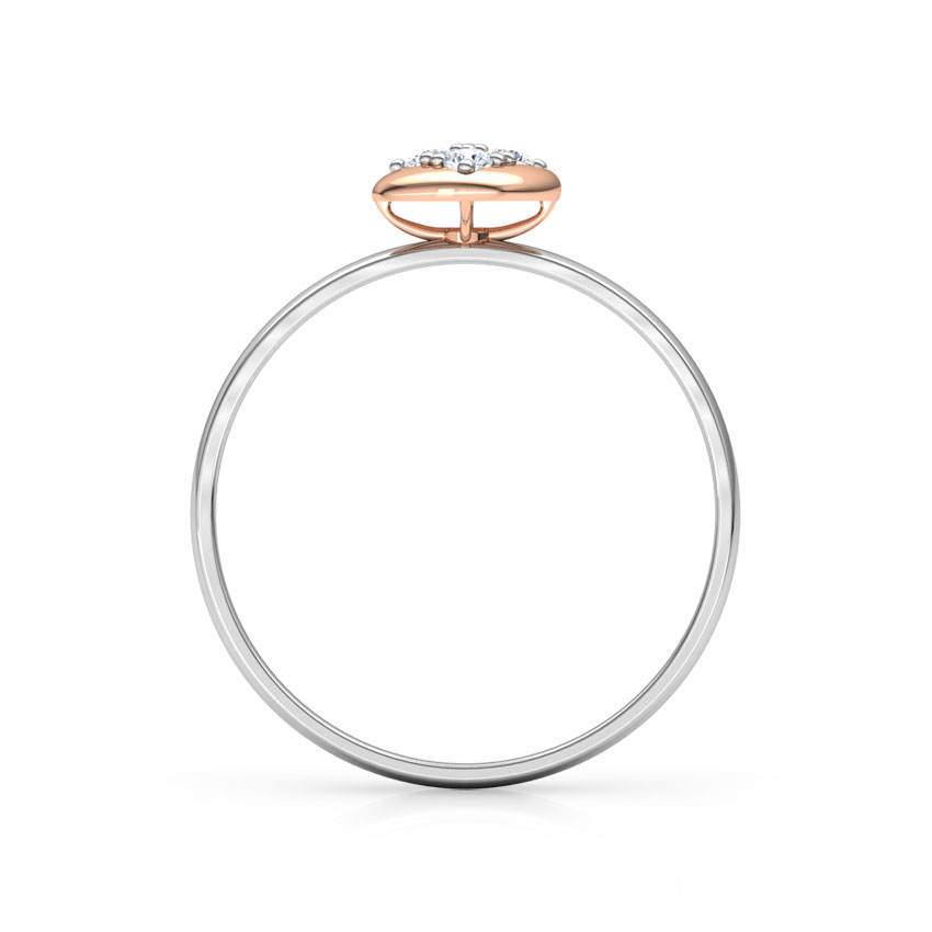 Minimalistic Enclosed Ring