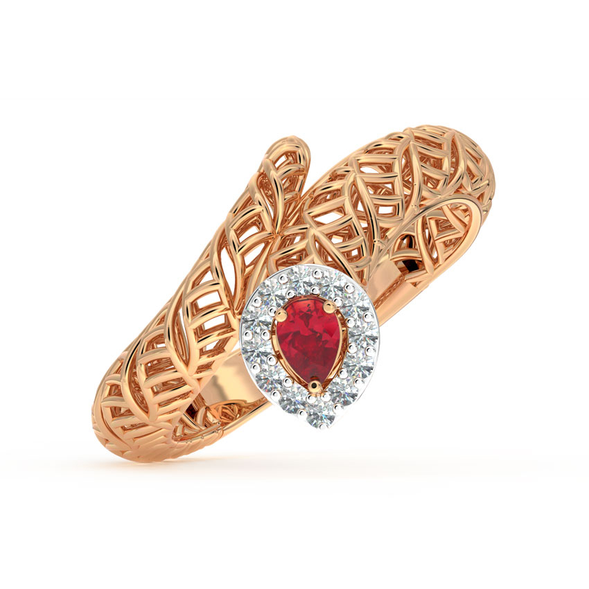 Perched Mesh Ring