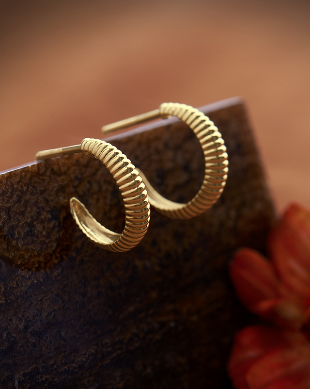Gold Earrings 22 Karat Yellow Gold Gaargi 22KT Gold Earrings