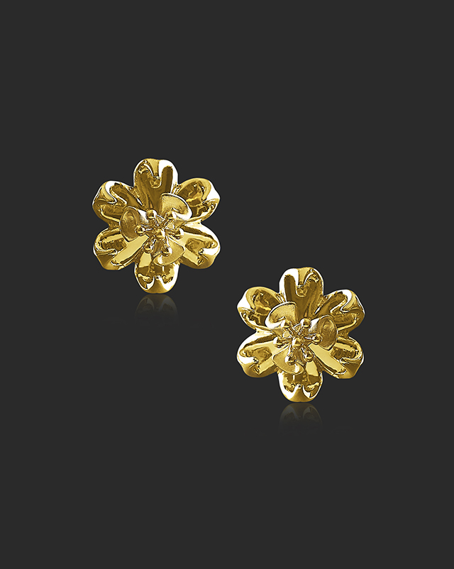 Sitaraa 22KT Gold Earrings Sitaraa 22KT Gold Earrings