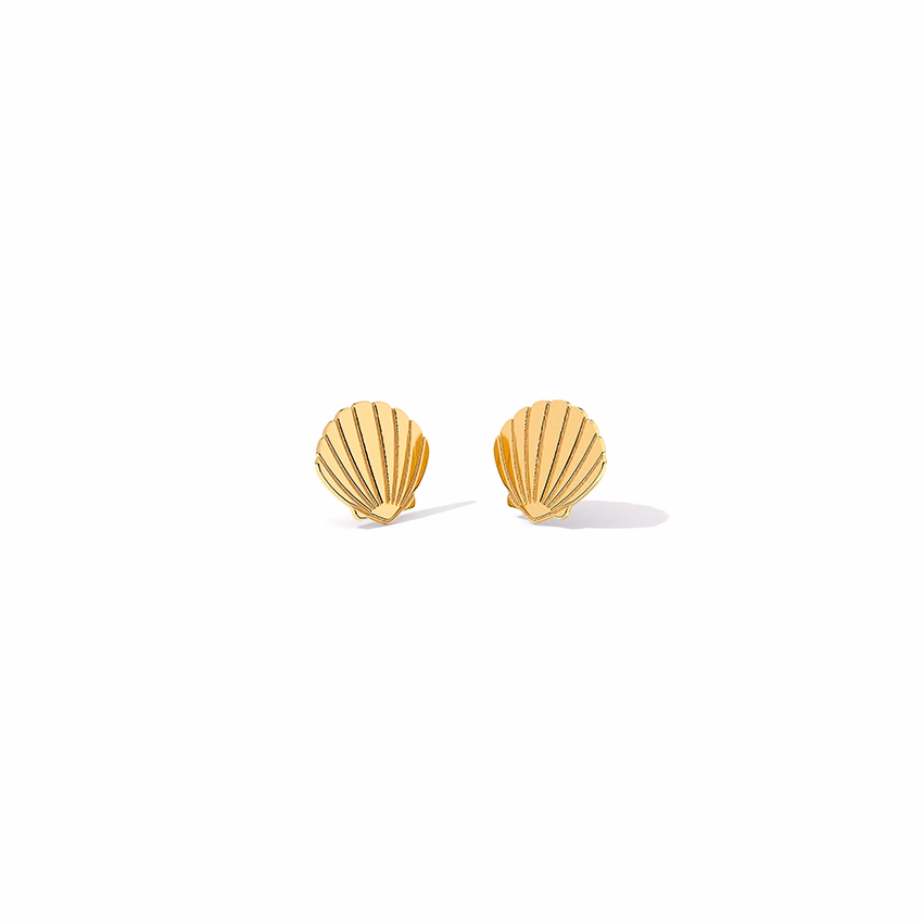 Gold Earrings 14 Karat Yellow Gold Sea Shell Gold Stud Earrings