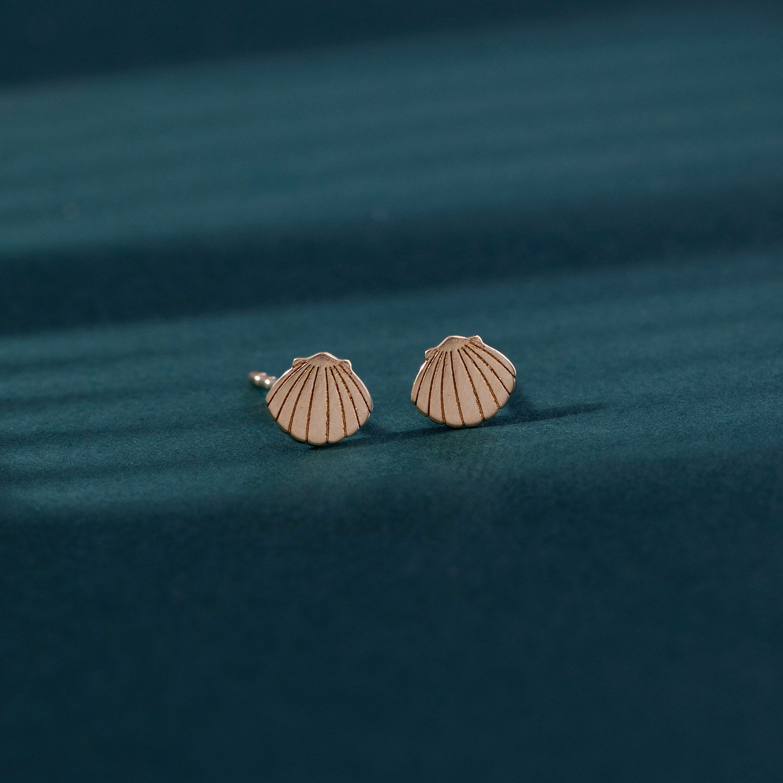 Gold Earrings 14 Karat Yellow Gold Sea Shell Gold Stud Earrings