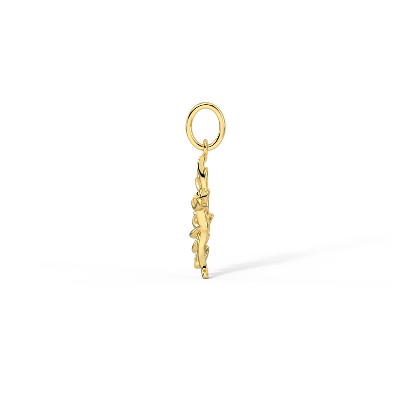 Shakti Naach Gold Charm