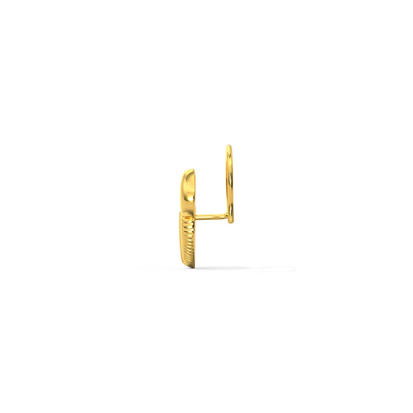 Roop Gold Nose Pin