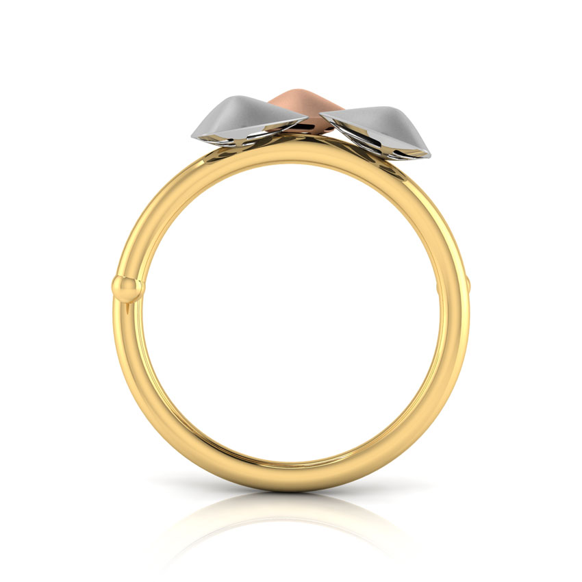 Julina Geometric Ring