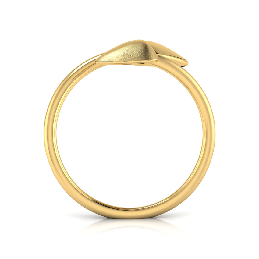 Alma Geometric Ring