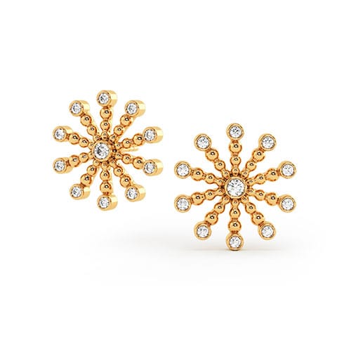 Earrings studded jewellery