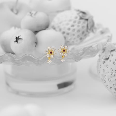 Red Empress Gemstone Stud Earrings