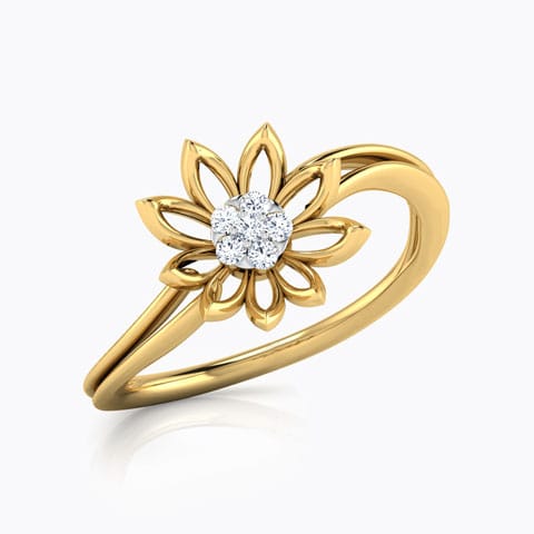Bloom Cluster Ring