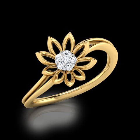Bloom Cluster Ring