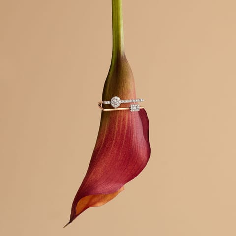 Twin Gleam Diamond Ring Twin Gleam Diamond Ring