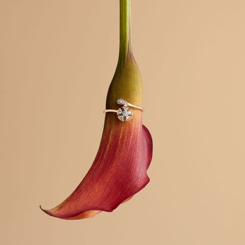 Circular Wrap Diamond Ring Circular Wrap Diamond Ring