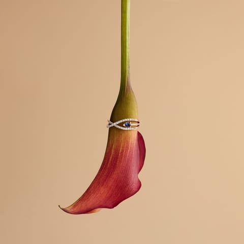 Sapphire Twist Gemstone Ring Sapphire Twist Gemstone Ring