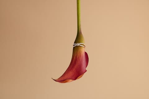 Twisting Gleam Diamond Ring