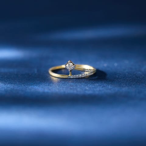Linear Meridian Diamond Ring