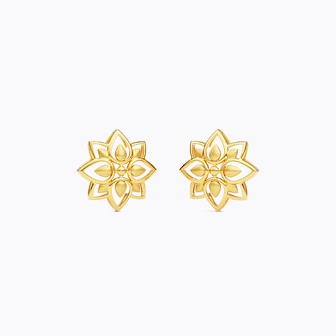 Netiva 22KT Gold Stud Earrings