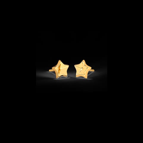 Gold Star Earring Gold Star Earring
