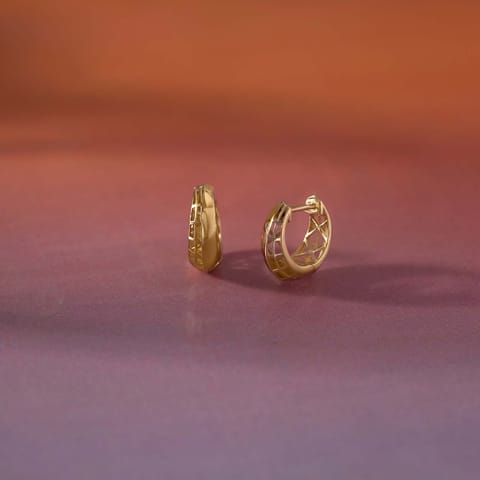 Bold Mesh Gold Hoop Earrings
