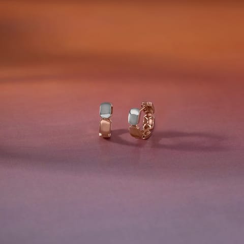 Dual Tone Gold Hoop Earrings Dual Tone Gold Hoop Earrings