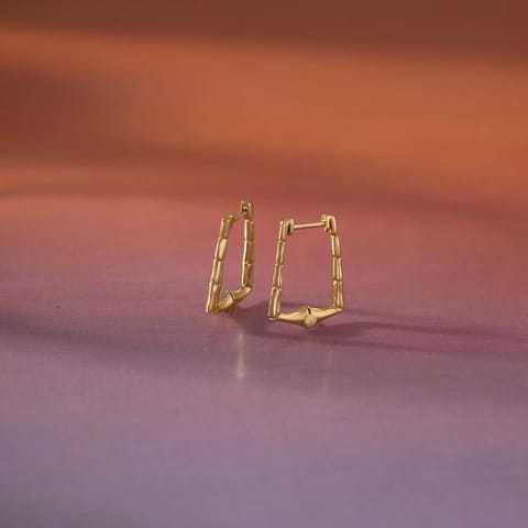 Adoring Sleek Gold Hoop Earrings Adoring Sleek Gold Hoop Earrings