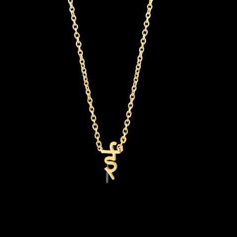 Ee Akshar Gold Necklace
