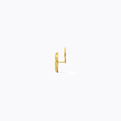 Roop Gold Nose Pin