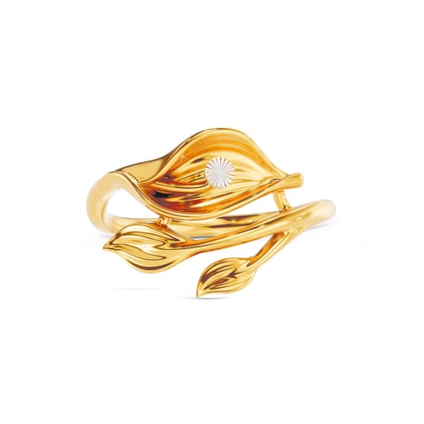 Elegant Orbit Gold Ring Elegant Orbit Gold Ring