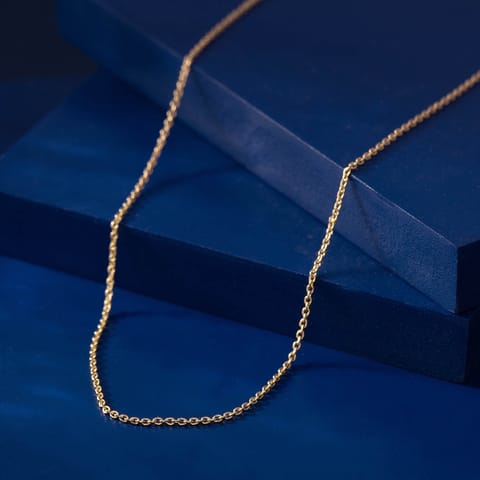 Delicate Radiance Gold Chain Delicate Radiance Gold Chain