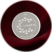 Silver Shaya homes