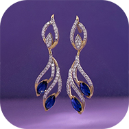 Earrings image