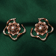 Earrings image