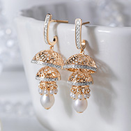 Earrings image