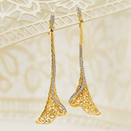 Earrings image