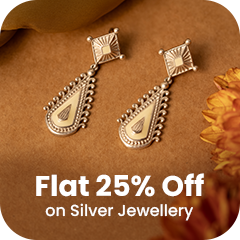 Silver by Shaya image