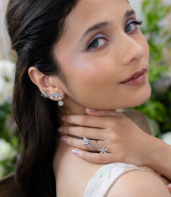 NewButterflyModDec25