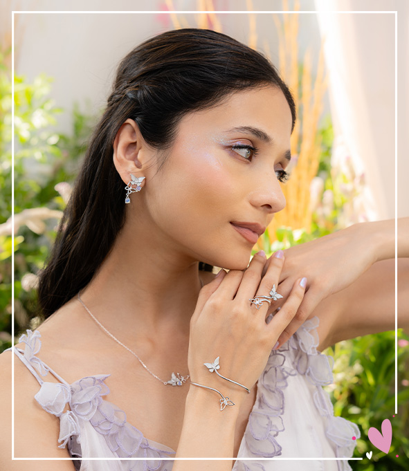 NewButterflyModDec25