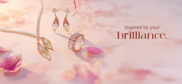 fullcollection-banner