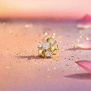 More Jewellery image