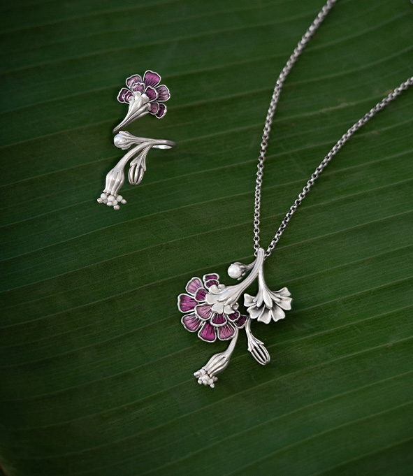 NewButterflyModDec25