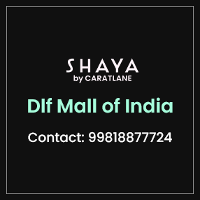DLF Mall of India50