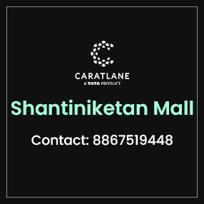Shantiniketan_Store50